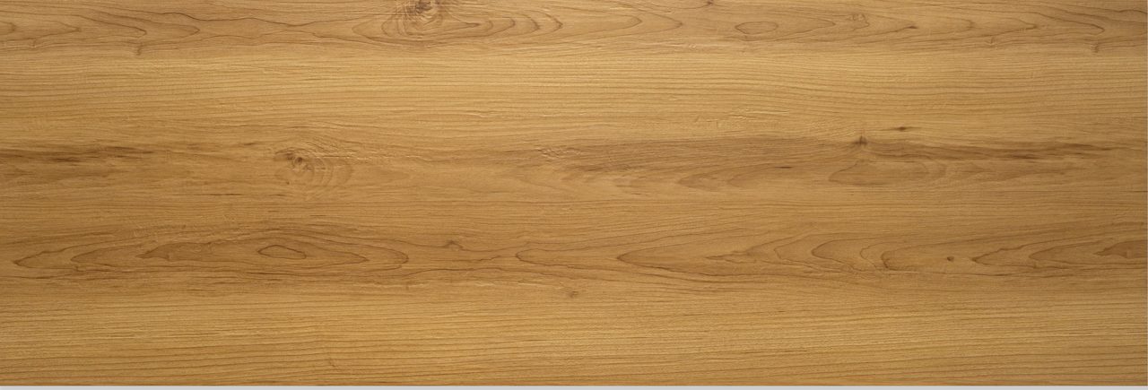 Padrão Austria — EcoCorp